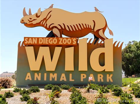 A Trip To The San Diego Wild Animal Park | ThruMyLens