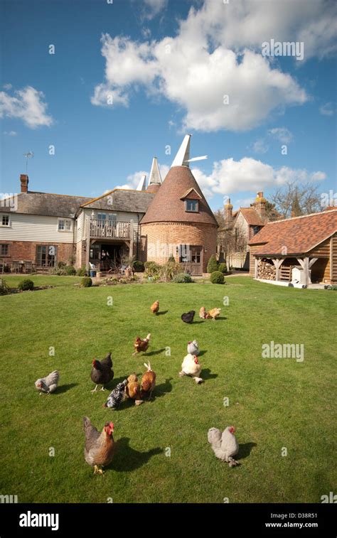 Old oast house conversion chickens hi-res stock photography and images - Alamy