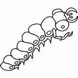 Centipede Coloring Page sketch template
