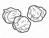 Sprouts Coloring Brussels Brussel Bruxelles Sprout Choux Coloriage Chou  sketch template