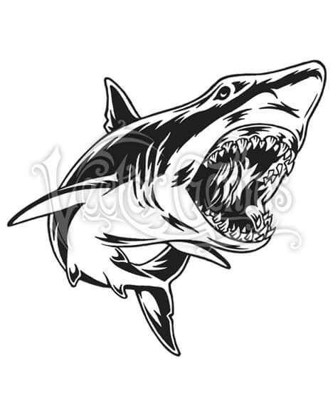 shark attack clipart 10 free Cliparts | Download images on Clipground 2024