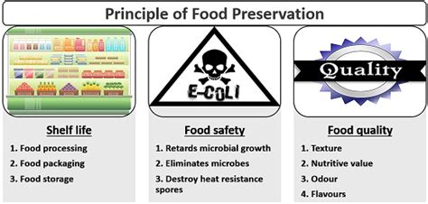 Food Preservation Techniques - Definition, Principle & Methods ...