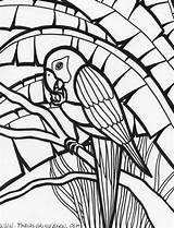 Rainforest Coloring Pages  The Barn sketch template