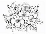 Lovely Hawaiian Flower Coloring Sheet  Page sketch template