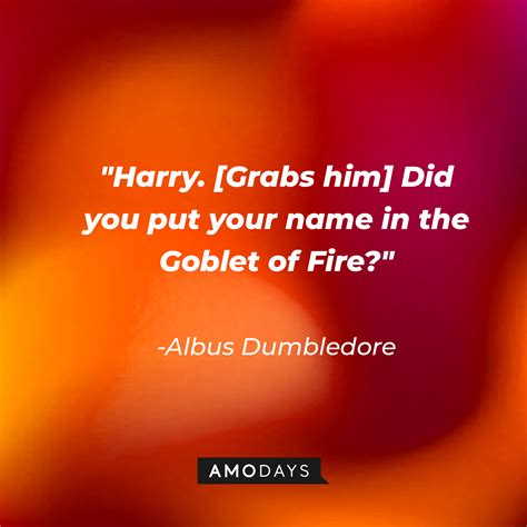 63 Goblet of Fire Quotes for All the Ardent Potterheads to Reminisce