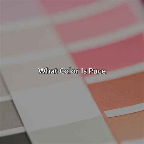 What Color Is Puce - colorscombo.com