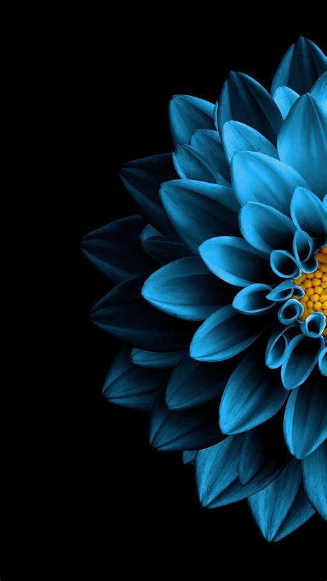 Flower, apple, blue, lotus, HD phone wallpaper | Peakpx