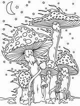 Premium Vector  Mushroom coloring Page For Young Adults sketch template