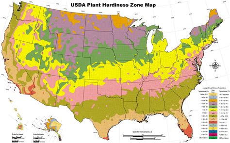 Usda Hardiness Zone Map Plant Hardiness Zone Map Planting Zones Map | Images and Photos finder