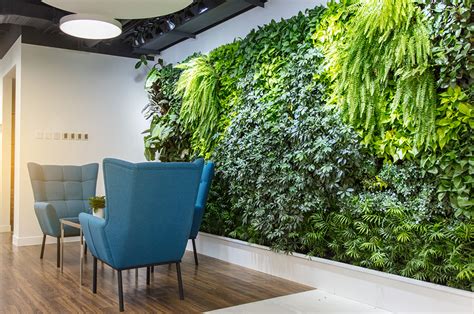 Benefits Of Office Plants | SB Projects