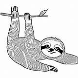Sloth Coloring Page · Creative Fabrica sketch template