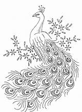 Happy Peacock Coloring Page  Free Printable Pages For Kids sketch template