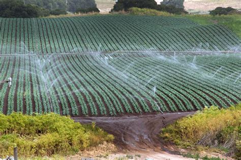 Irrigation - KHETI-BARI