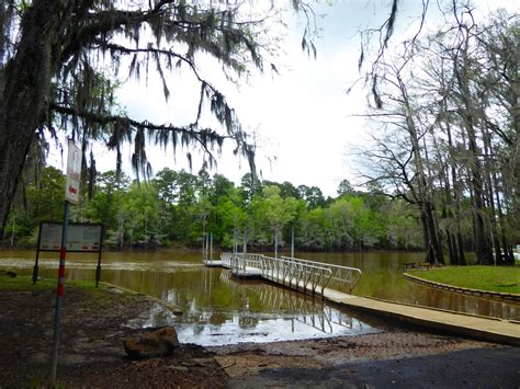 Caddo Lake State Park | Campground Views