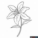 Free Printable Flower Coloring Pages For Kids sketch template