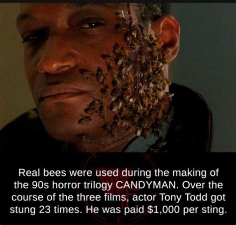 Real bees are used in horror trigology CANDYMAN 1992 | Weird facts, Movie facts, 90s horror