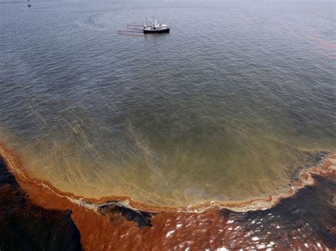 5th Anniversary of the Deepwater Horizon Oil Spill - a Comprehensive ...