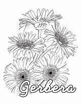 54 Stunning Flower Coloring Pages For Kids And Adults sketch template