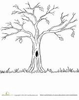 Spooky Bare Tree Coloring Page sketch template