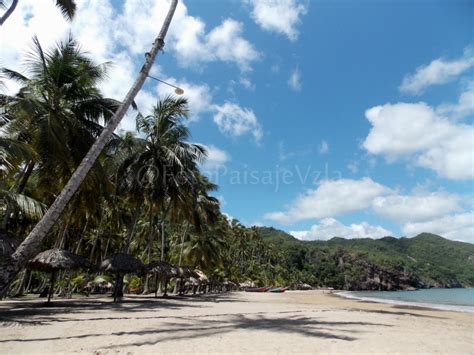 Fotos y Paisajes de Venezuela: Playa Medina