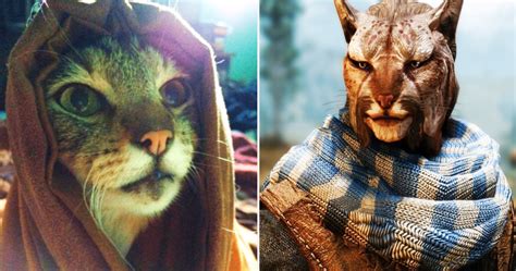 Skyrim: 10 Khajiit Memes That Are Too Hilarious For Words