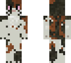 cat calicocat calico | Minecraft Skins