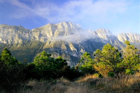 Hiking Monterrey Mountains 2 | Marilyn Alicia