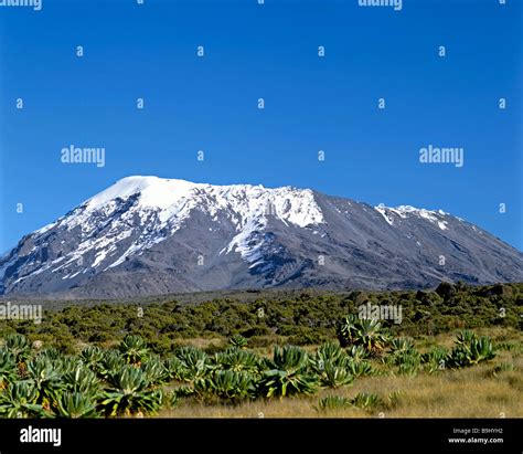 Mount Kilimanjaro, Kilimanjaro National Park, UNESCO World Heritage ...