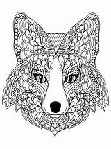 Fox To Download  Coloring Pages For Kids sketch template