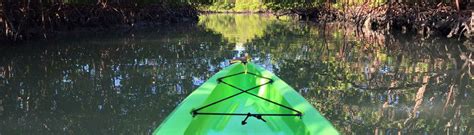 Mangrove Kayak Adventures | Naples Grande Beach Resort