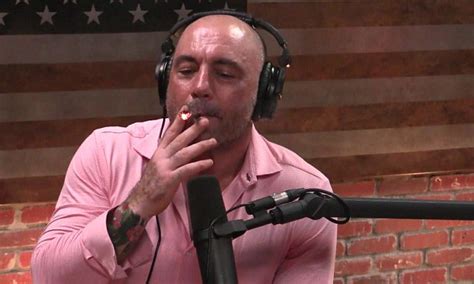 Who is Joe Rogan? Comedian revealed after Elon Musk smokes weed on his podcast show | Daily Mail ...