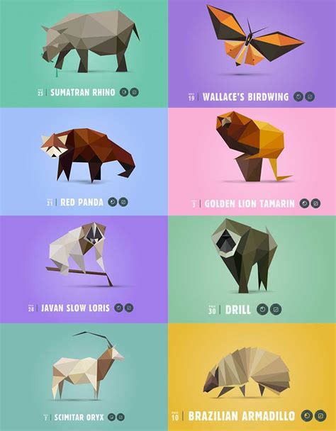 Webdesigner Depot | Endangered animals, Interactive exhibition, Slow loris