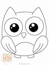 Cute Baby Owl Coloring Pages sketch template