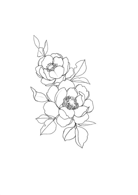 Aesthetic Flower Drawings