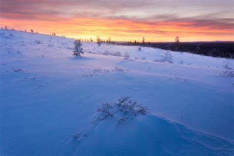 Rare but beautiful winter daylight in Lapland – FINLAND, NATURALLY