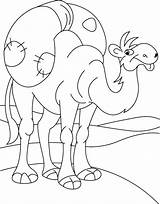 Camel Face Coloring Book Pages sketch template