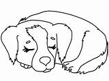 Realistic Puppy Coloring Pages  Coloring Home sketch template