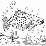 Brook Trout Coloring Pages  Free & Printable sketch template