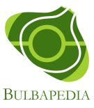 File:Bulbapedia logo.png - Bulbagarden Archives