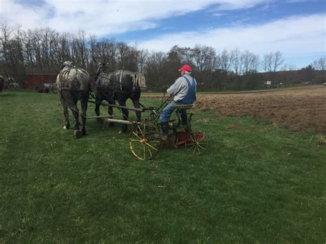 Plow Days Cornwell's Turkeyville