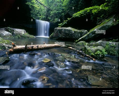 waterfalls daniel boone national forest Stock Photo - Alamy