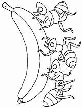 ant coloring Pages  ants Page For Kids Insect Coloring sketch template