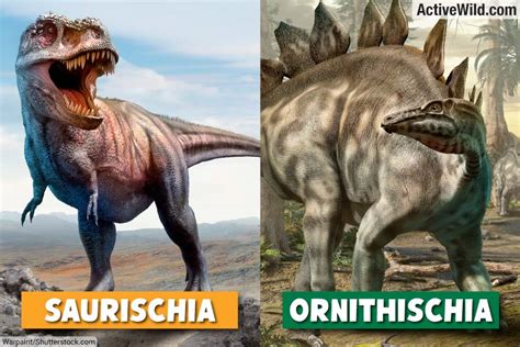 Types of Dinosaurs: Dinosaur Families & Groups, Examples, Pictures & Facts