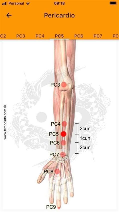 Pin by julia on Digitopuntura | Acupuncture, Acupuncture points ...