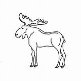 Elk Outline Coloring Page  Free Printable Pages sketch template