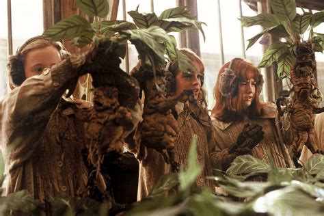 Etsy Harry Potter Mandrake Plants | Apartment Therapy