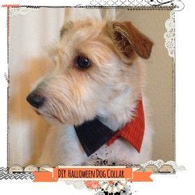 The Rit Studio | Rit Dye Color Formulas Techniques Tie Dye | Halloween dog collar, Dog halloween ...