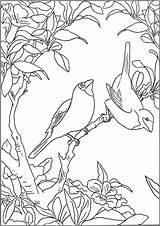 Two Little birds  Bird Coloring Pages For Adults sketch template