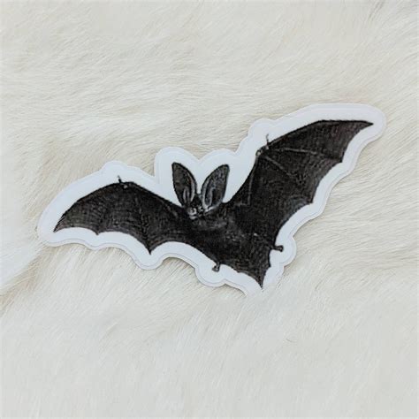 Bat Sticker / Bumper Sticker / Vinyl Sticker / Vintage Image / - Etsy