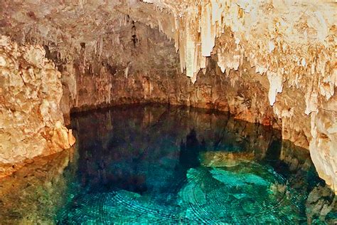 Bonito Caves: Cave Diving in Brazil | X-Ray Mag